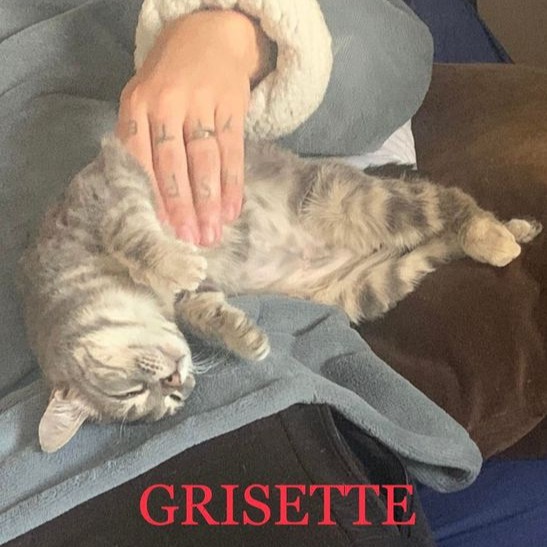Photo #2 de Grisette