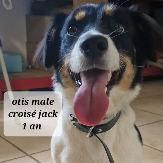 Photo #0 de Otis