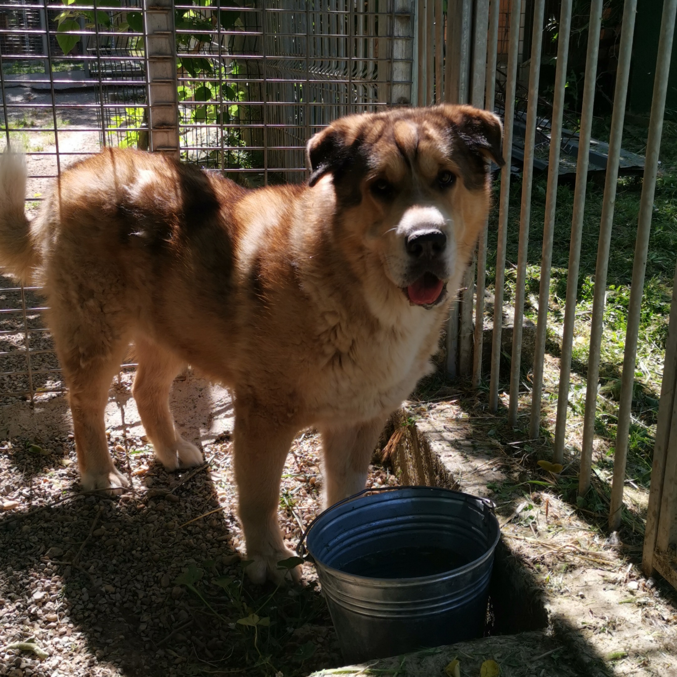 Photo #1 de Clyde