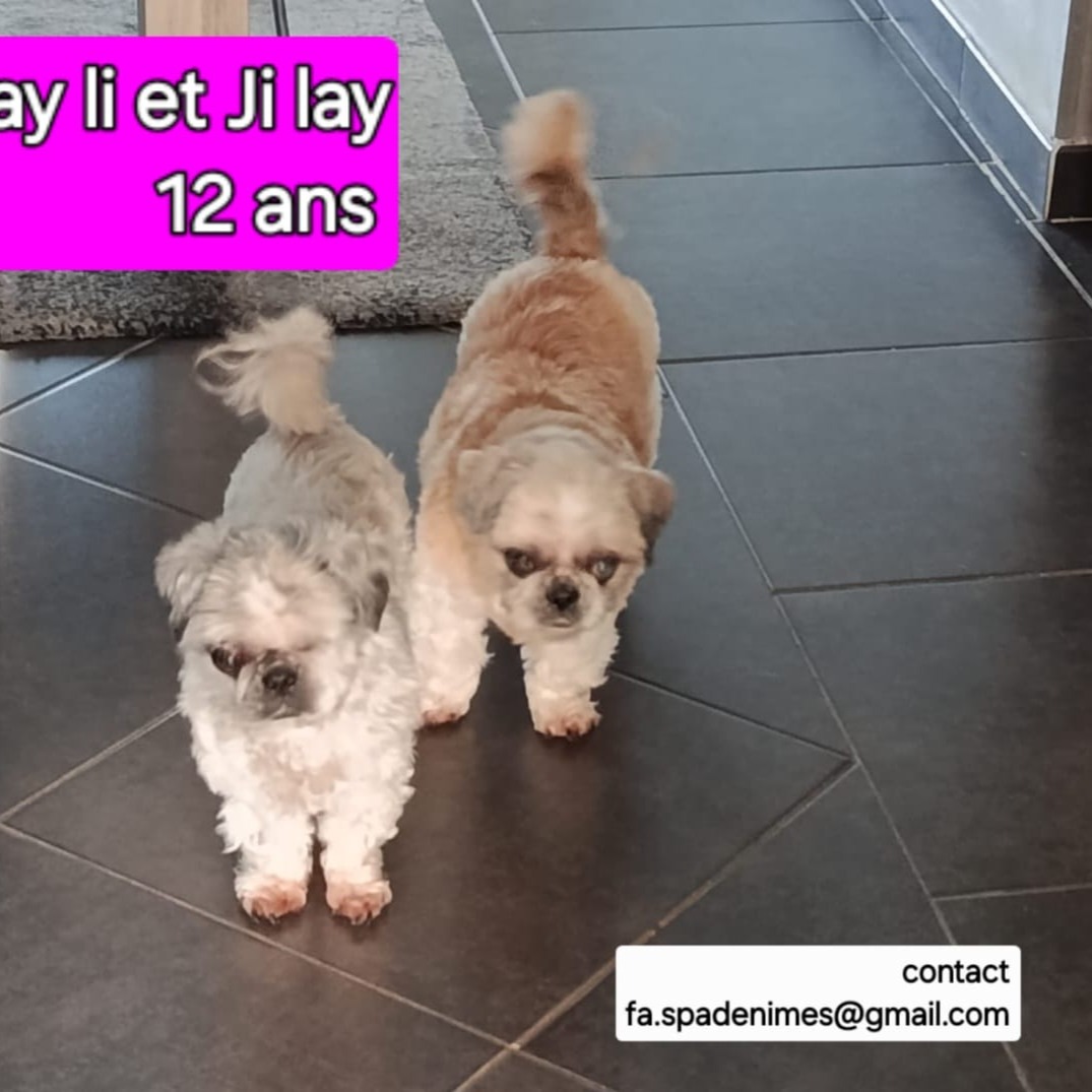 Photo #0 de Jay Li & Ji lya