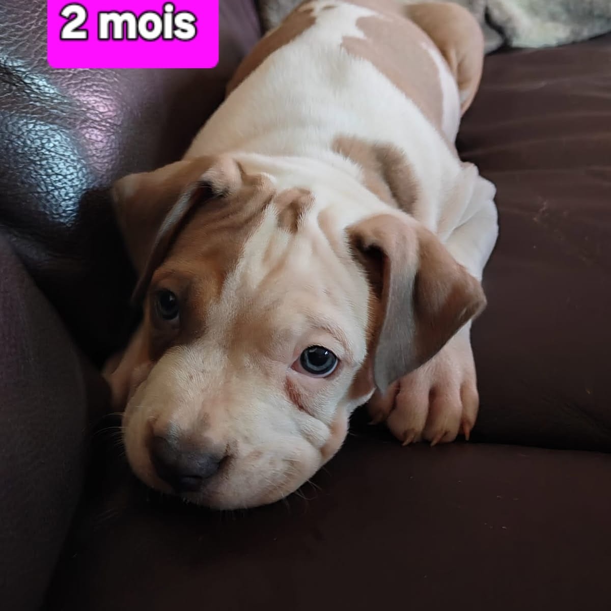 Photo de Angela