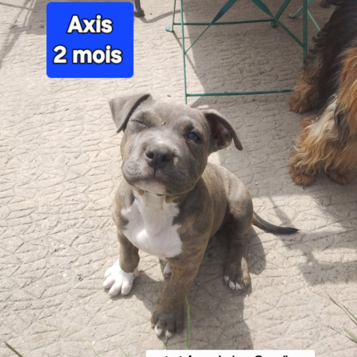 Photo #0 de Axis