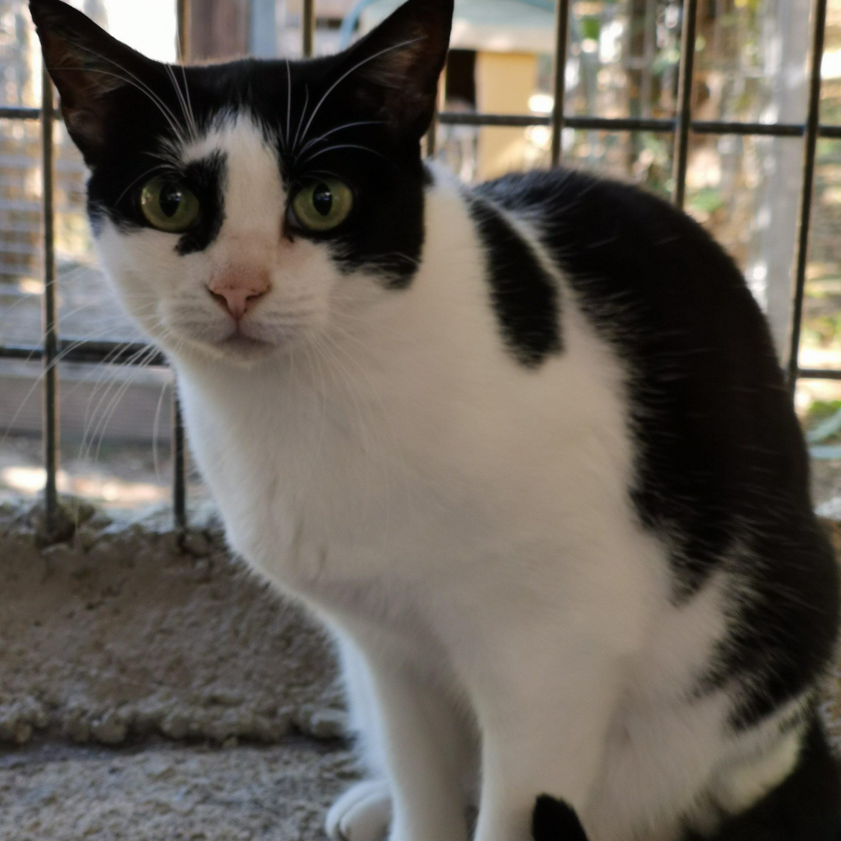 Photo de Véronique