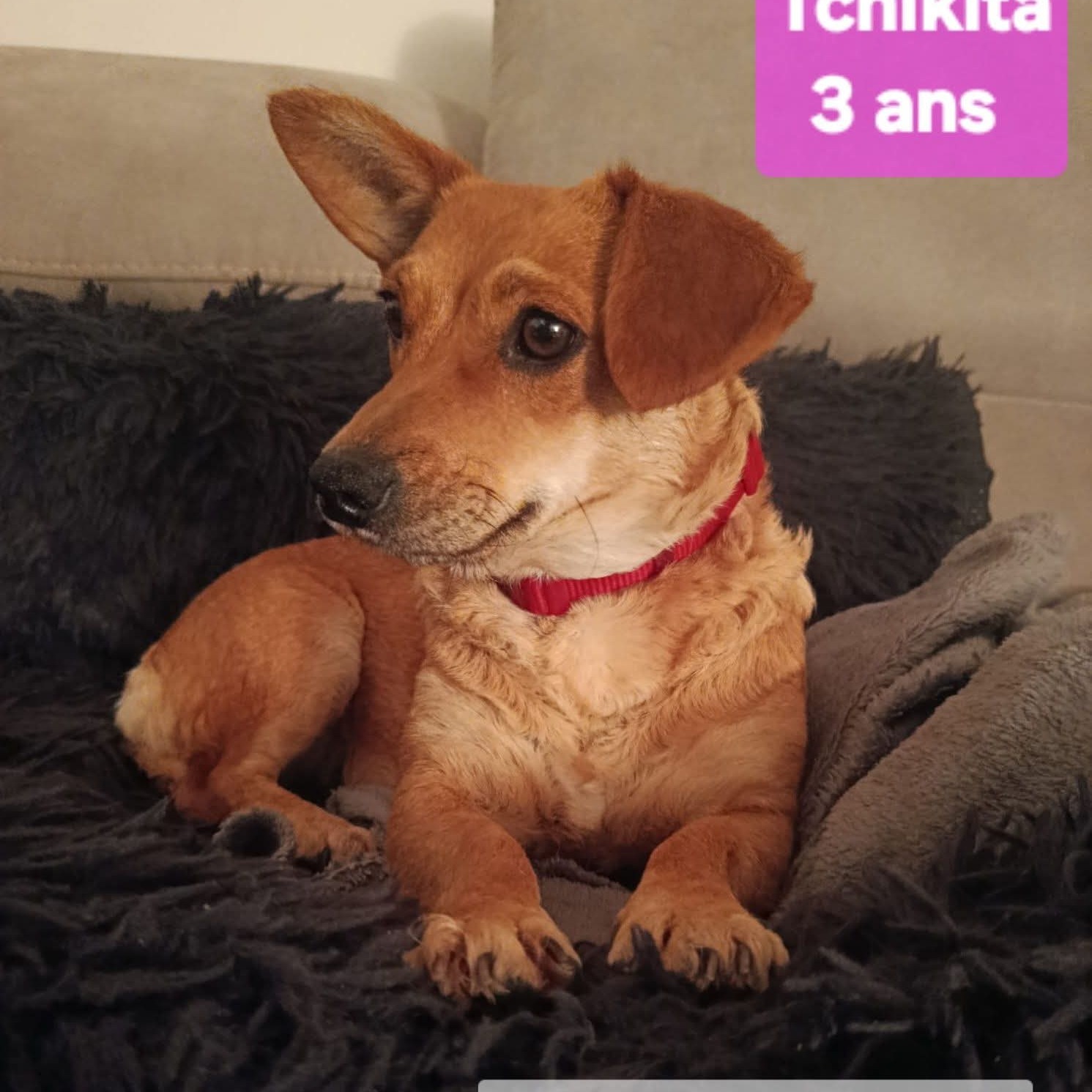 Photo #0 de Tchikita