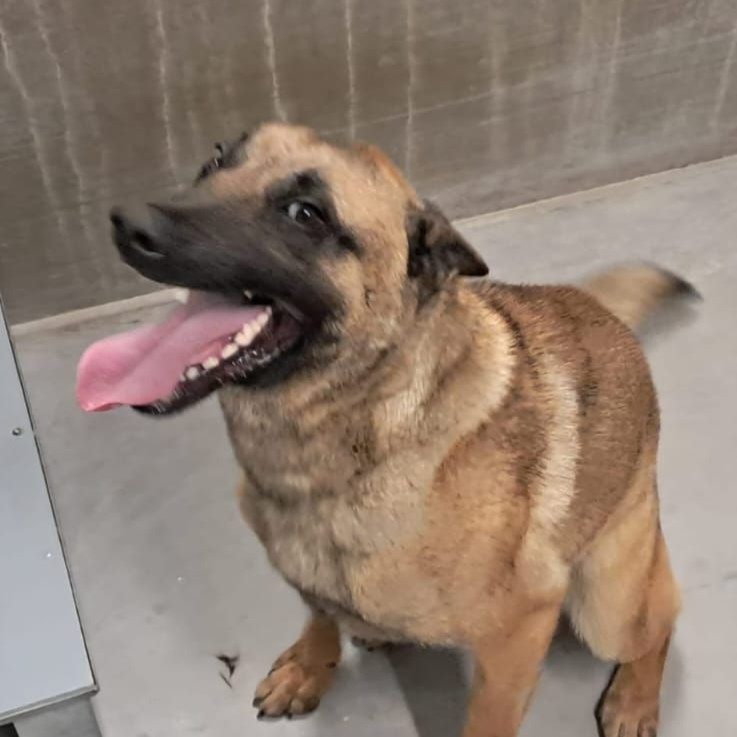 Photo #0 de cailloux