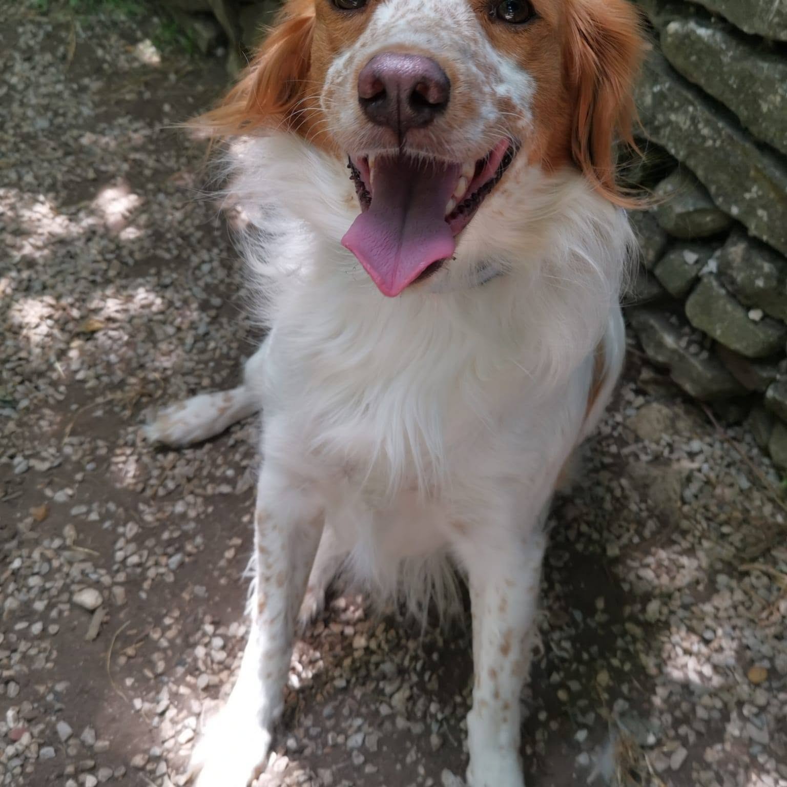 Photo de titan