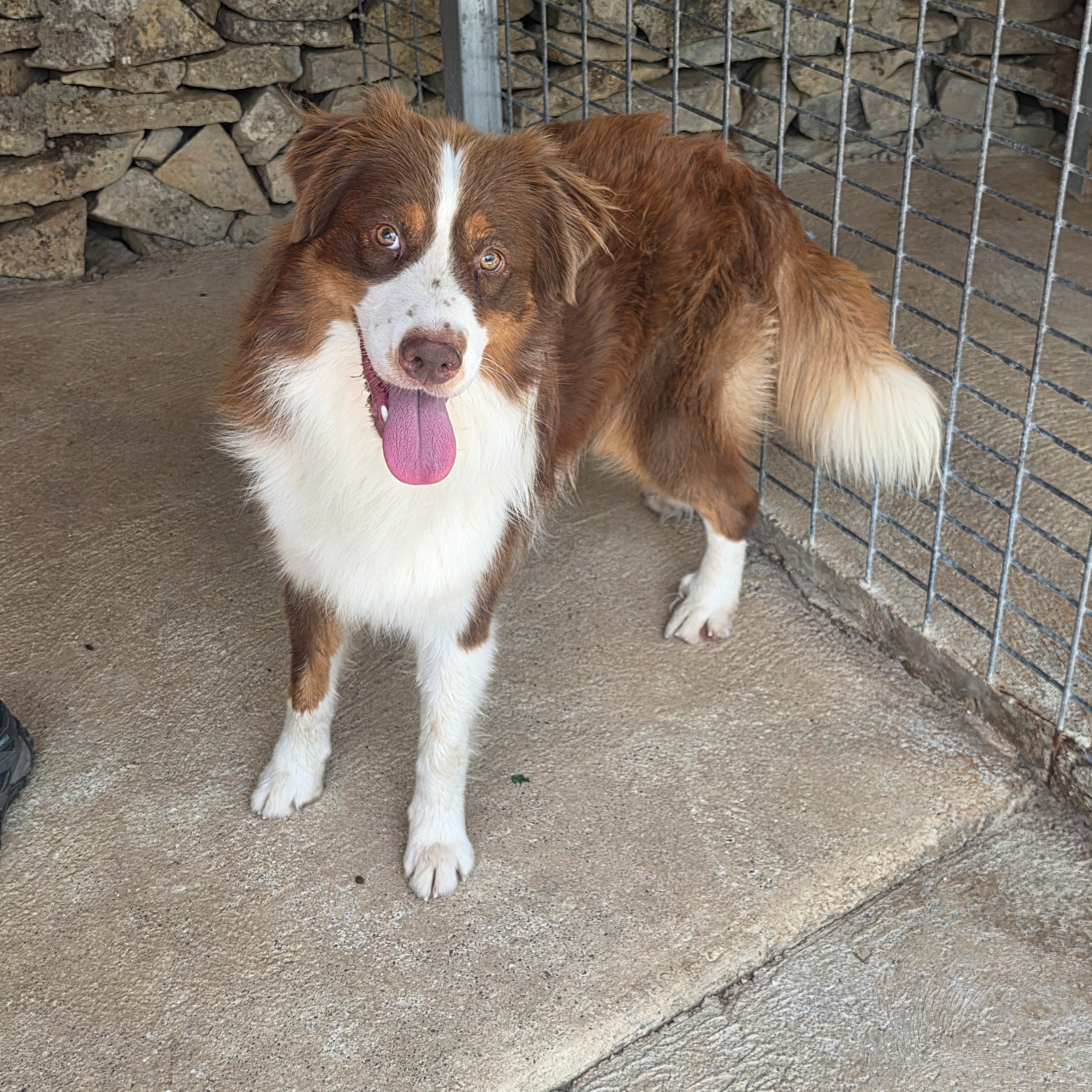 Photo de BOUNTY