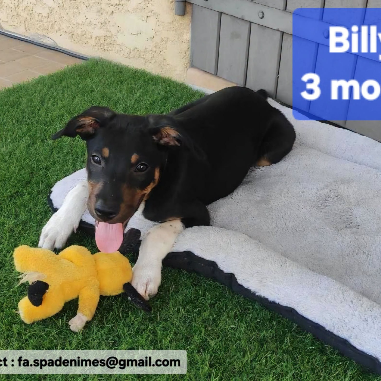 Photo de billy