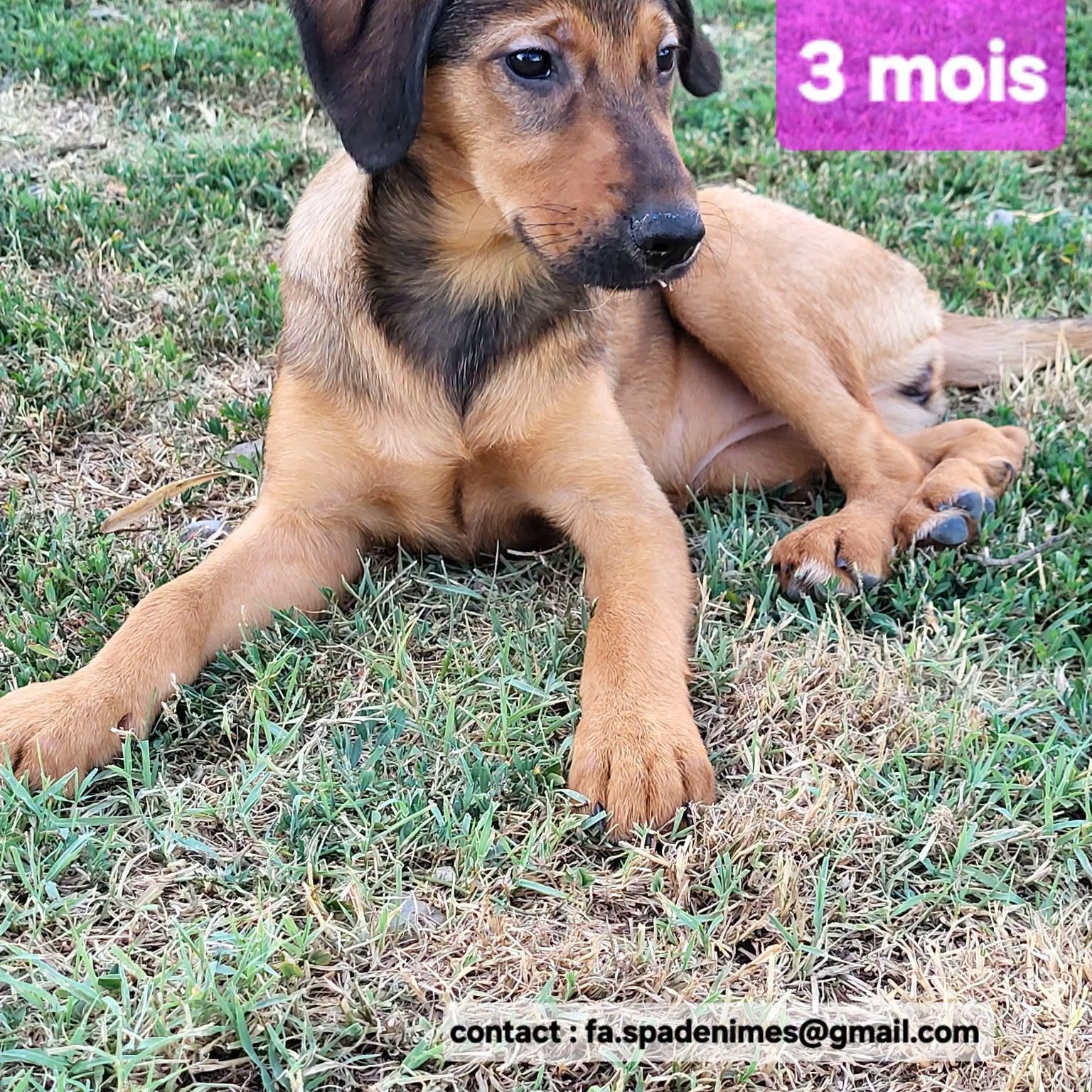Photo de briava